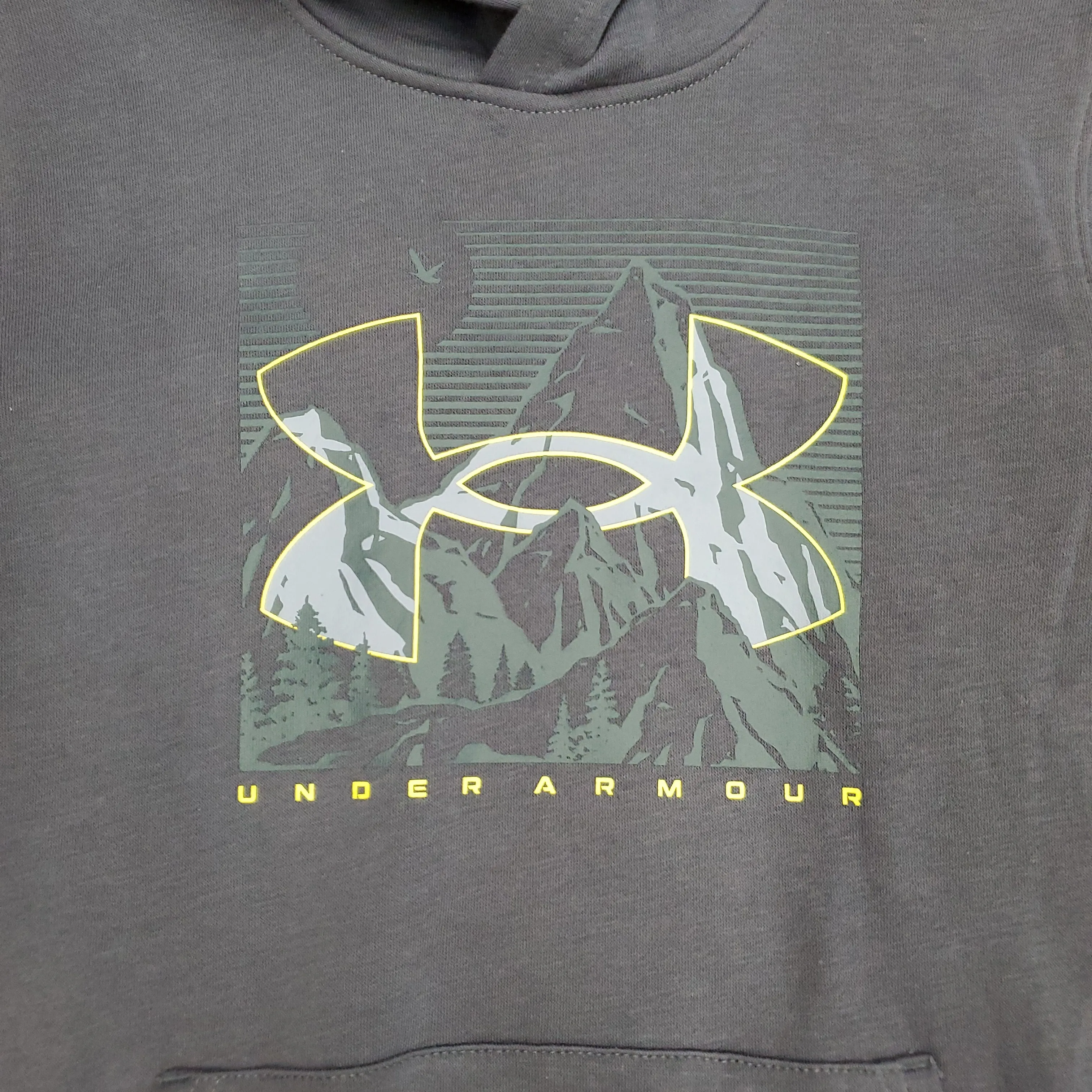 UNDER ARMOUR MOUNTAIN LOGO HOODIE